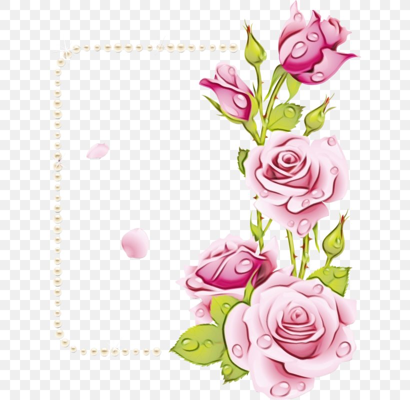 Garden Roses, PNG, 625x800px, Watercolor, Cut Flowers, Floral Design, Flower, Garden Roses Download Free