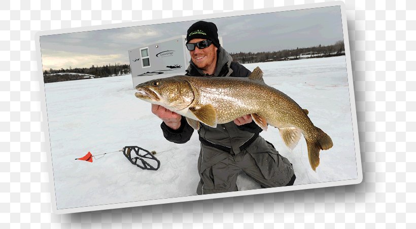 Ice Fishing Fly Fishing Walleye Fishing House, PNG, 699x452px, Fishing, Bass, Campervans, Cod, Cottage Download Free