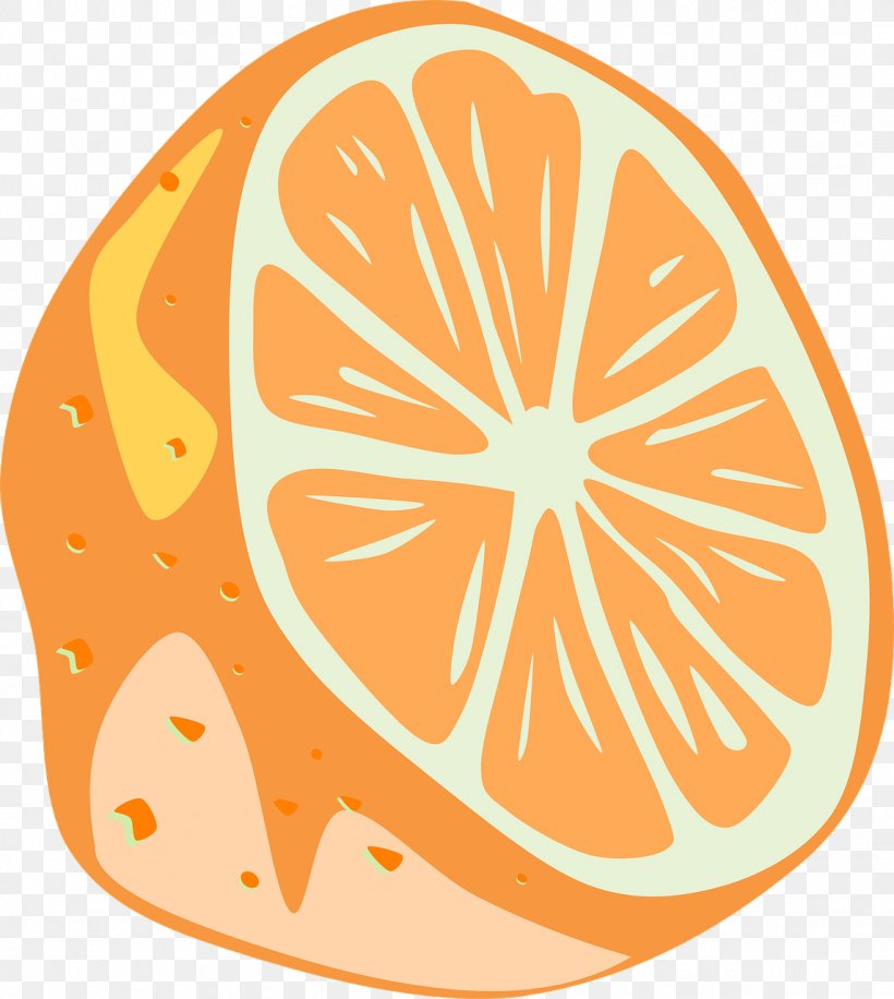 Lemon Key Lime Clip Art, PNG, 1145x1280px, Lemon, Animation, Area, Artwork, Citrus Download Free