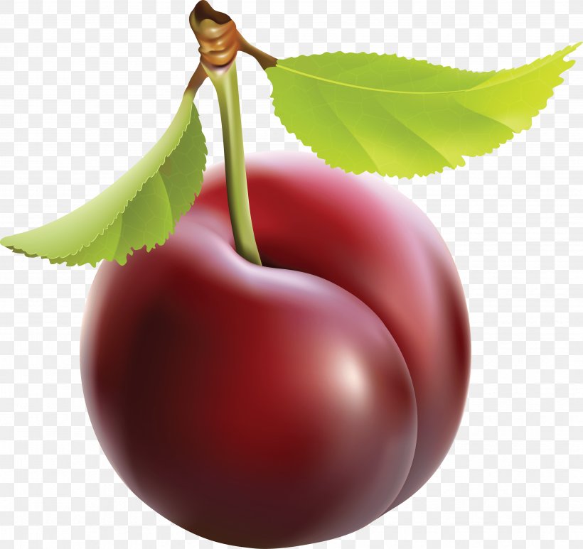 Plum Fruit Euclidean Vector Clip Art, PNG, 3513x3312px, Plum, Apple, Cherry, Diet Food, Food Download Free