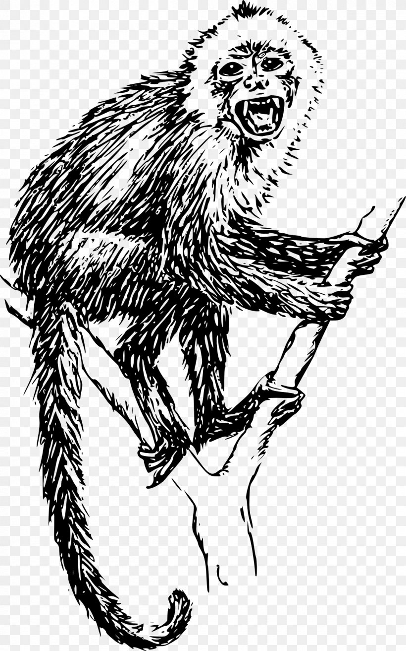 Capuchin Monkey Ape Drawing Howler Monkey, PNG, 1200x1920px, Capuchin Monkey, Ape, Art, Big Cats, Black And White Download Free