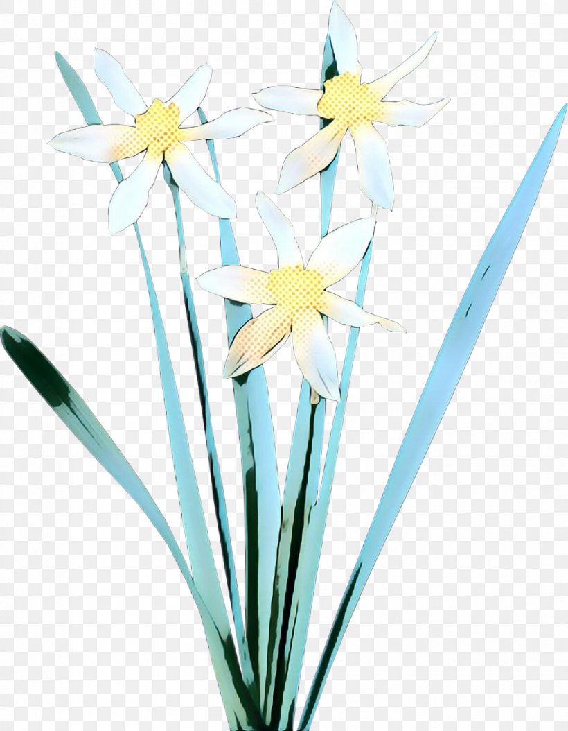 Flower Narcissus Plant Cut Flowers Flowering Plant, PNG, 995x1280px, Pop Art, Amaryllis Family, Cut Flowers, Flower, Flowering Plant Download Free