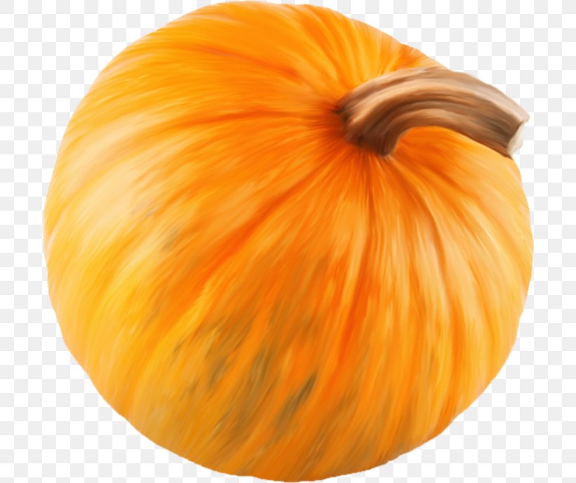 Pumpkin Calabaza Winter Squash Gourd, PNG, 700x688px, Pumpkin, Calabaza, Commodity, Cucumber Gourd And Melon Family, Cucurbita Download Free