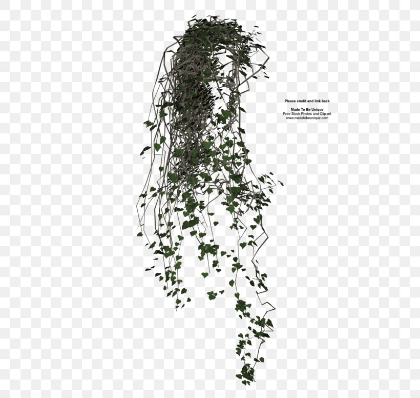 Vine Ivy Texture Mapping Clip Art, PNG, 600x776px, Vine, Branch, Drawing, Flora, Floral Design Download Free