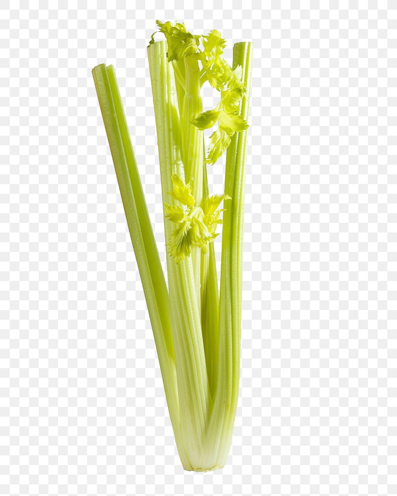 Celery Vegetable, PNG, 683x1024px, Celery, Fennel, Google Images, Plant Stem, Real Download Free