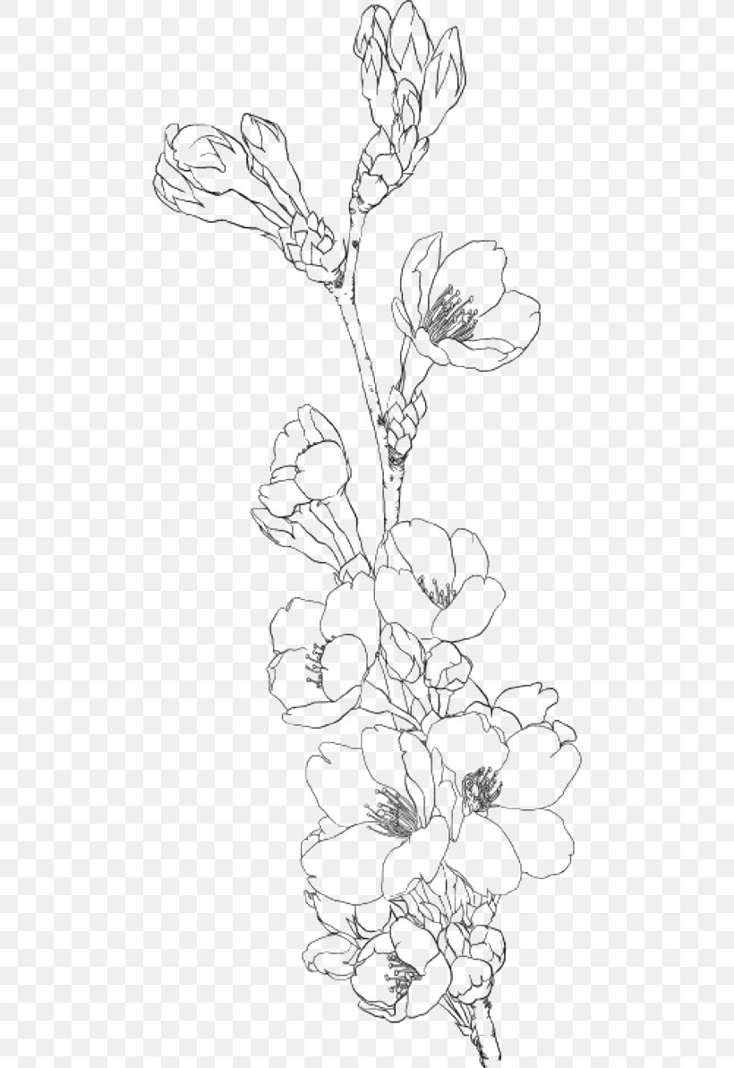 Drawing Coloring Book Image Clip Art Line Art, PNG, 480x1193px, Drawing, Area, Art, Artwork, Black And White Download Free