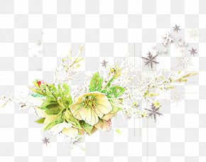 Flower Arranging Floristry - Floral Design PNG