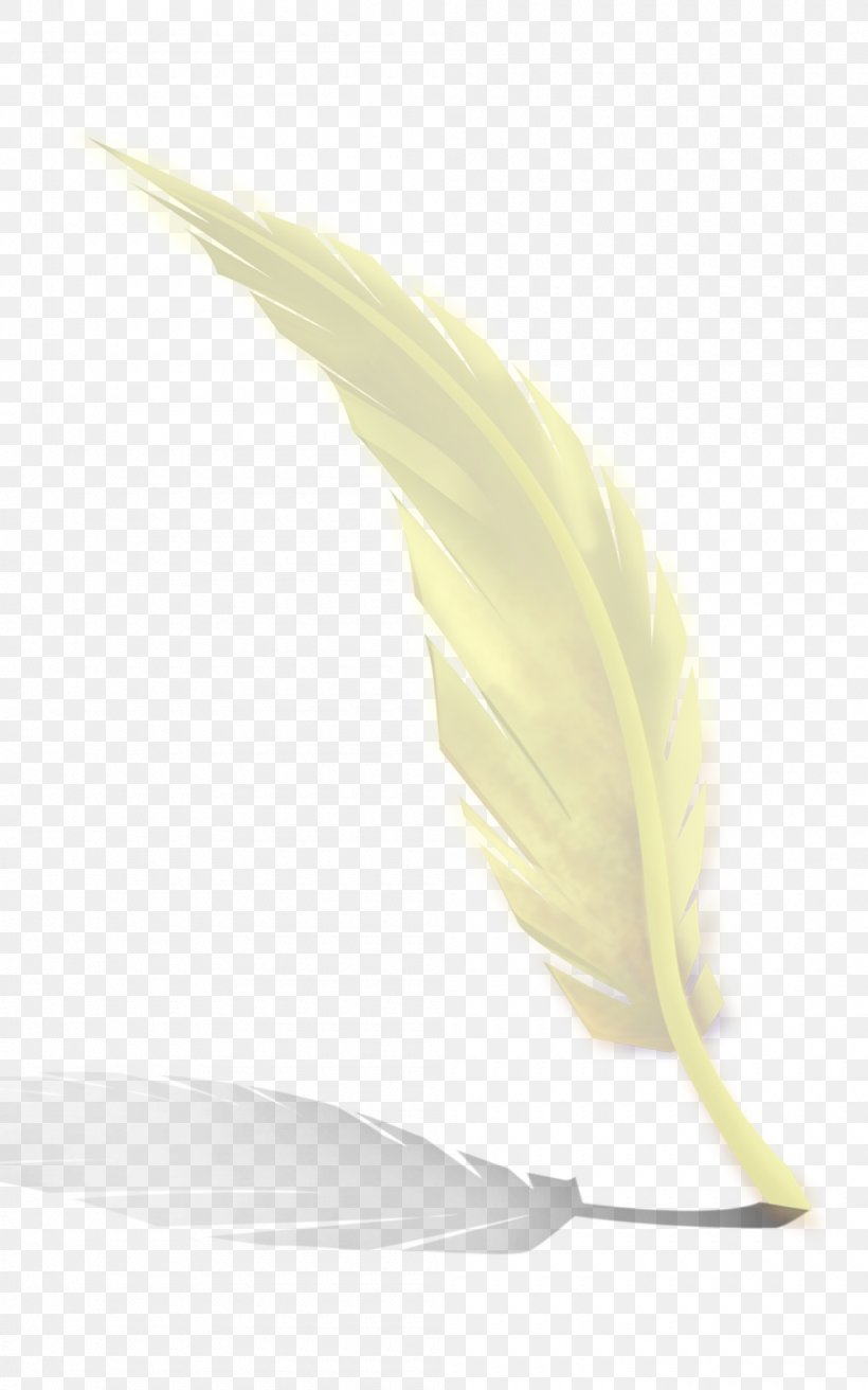 Yellow Feather Material, PNG, 1000x1600px, Yellow, Feather, Leaf, Material Download Free