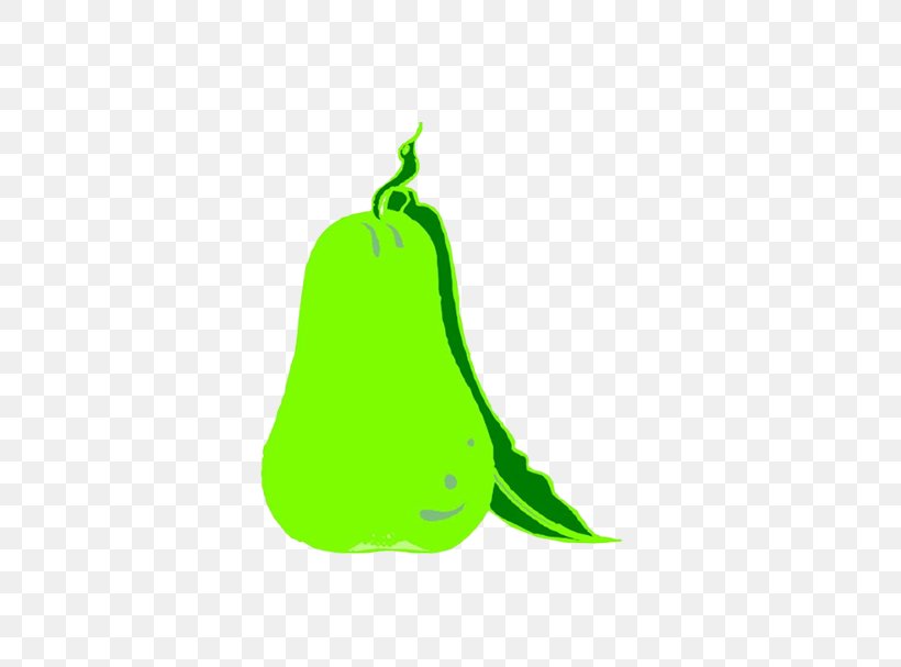 European Pear Fruit Drawing, PNG, 636x607px, European Pear, Animation, Drawing, Food, Fruit Download Free