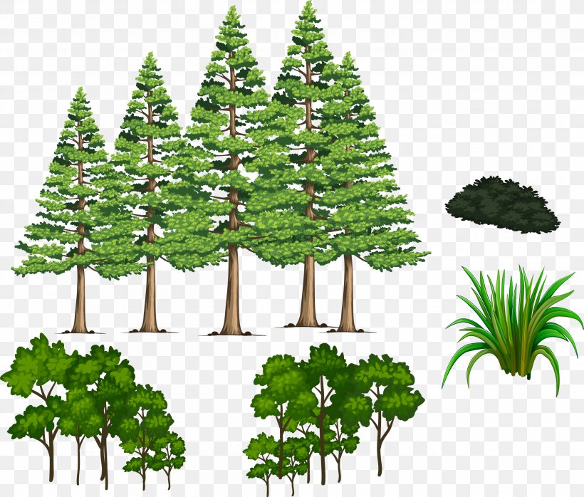 Fir Pine Spruce Shrub, PNG, 2497x2128px, Fir, Conifer, Element, Evergreen, Flowerpot Download Free
