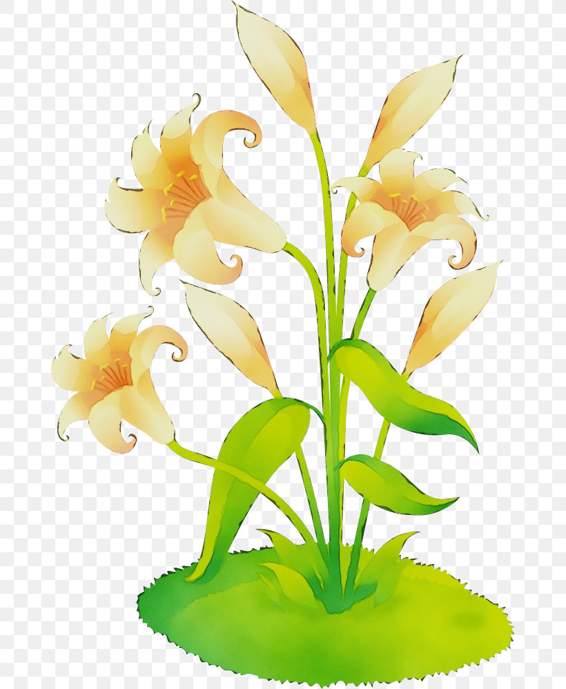 Floral Design, PNG, 672x998px, Lily Flower, Aquarium, Aquarium Decor, Biology, Cut Flowers Download Free