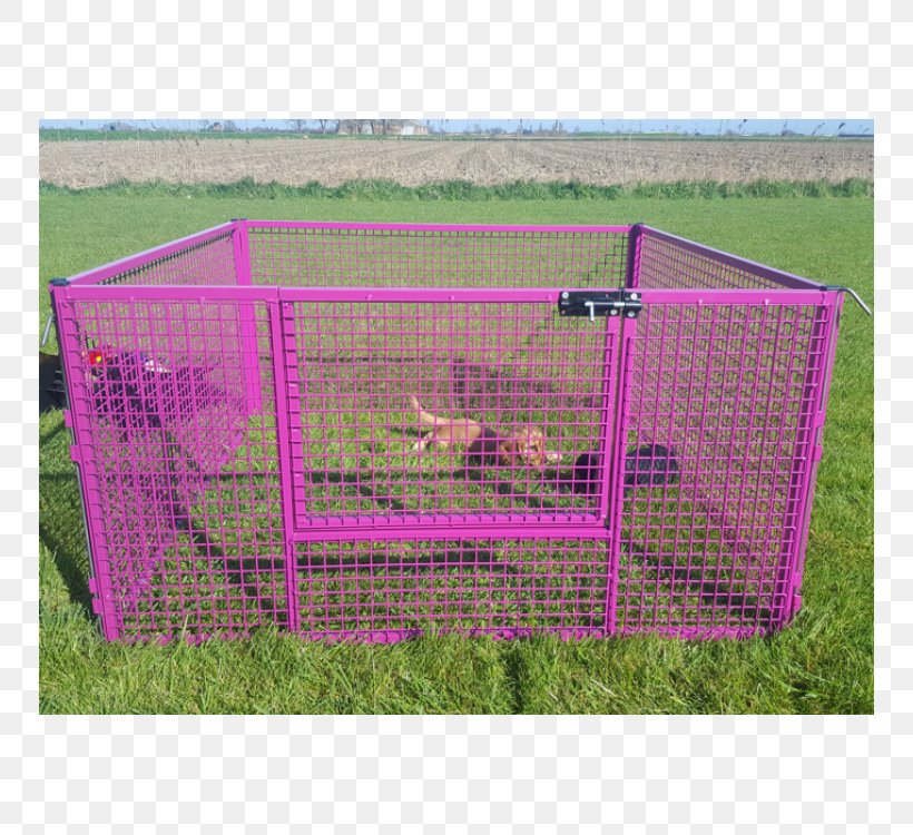 Cage Play Pens Puppy Horse Color, PNG, 750x750px, 4k Resolution, Cage, Color, Grass, Horse Download Free