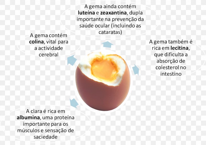 Cholesterol Nutrient Egg Lecithin Health, PNG, 1465x1031px, Cholesterol, Boiled Egg, Brand, Diagram, Eating Download Free