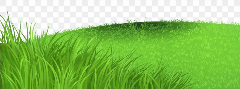 Image File Formats Lossless Compression Raster Graphics, PNG, 9720x3636px, Lawn, Artificial Turf, Chrysopogon Zizanioides, Commodity, Fodder Download Free