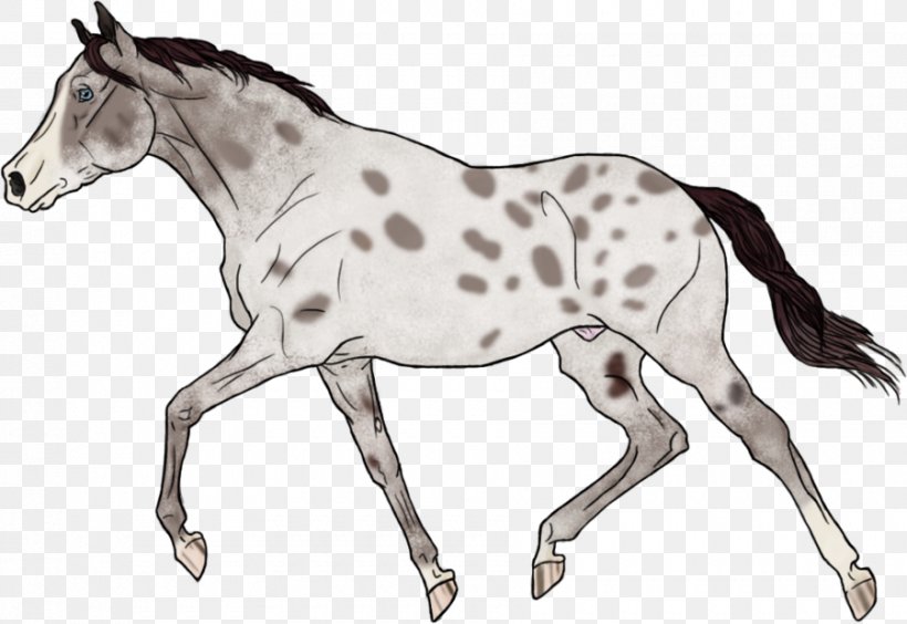 Mustang Foal Stallion Colt Mare, PNG, 900x620px, Mustang, Animal Figure, Bridle, Colt, Drawing Download Free