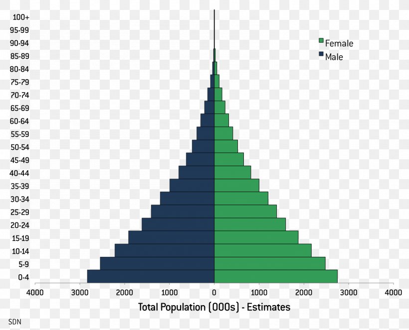 Population Pyramid South Sudan Rate Literacy, PNG, 1588x1285px, Population Pyramid, Birth Rate, Cone, Demography, Diagram Download Free