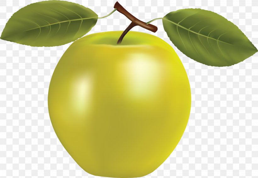 Apple Granny Smith Fruit Icon, PNG, 3478x2404px, Apple, Apples, Cameo, Citrus, Food Download Free