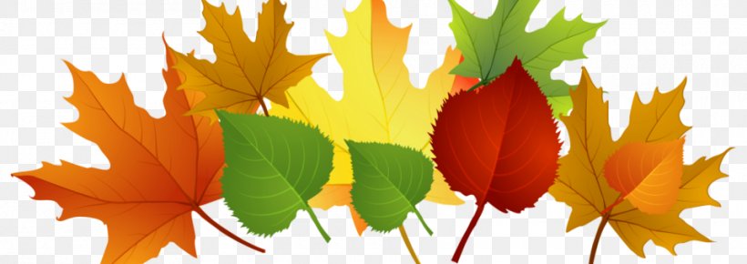 Autumn Leaf Color Clip Art, PNG, 960x340px, Autumn Leaf Color, Art, Autumn, Branch, Computer Download Free