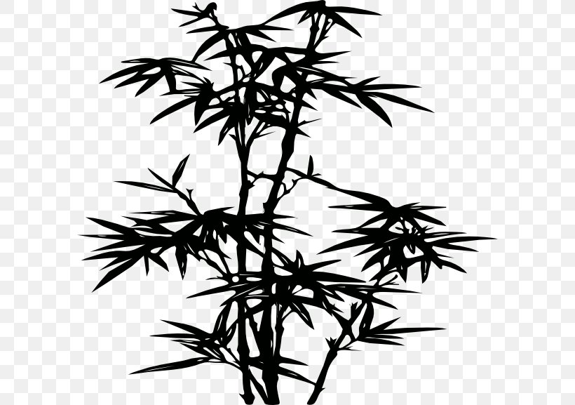 Bamboo Wall Decal Drawing Clip Art, PNG, 600x577px, Bamboo, Black And White, Branch, Decal, Drawing Download Free