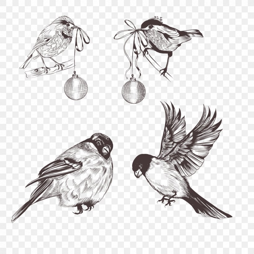 Bird Sparrow Euclidean Vector Feather, PNG, 1200x1200px, Bird, Beak, Black And White, Body Jewelry, Dimension Download Free