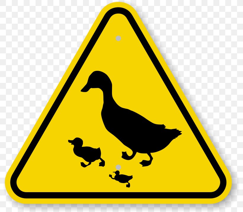 Duck Crossing Goose Traffic Sign, PNG, 800x716px, Duck, Area, Beak, Bird, Duck Crossing Download Free