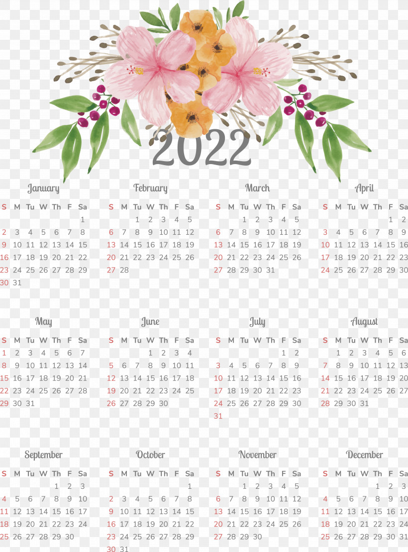 Floral Design, PNG, 3768x5103px, Flower, Biology, Calendar, Floral Design, Plant Download Free