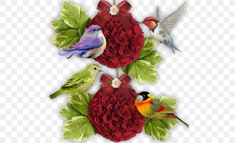 Floral Design Cut Flowers Bird Flower Bouquet, PNG, 500x500px, Floral Design, Bird, Cut Flowers, Floristry, Flower Download Free