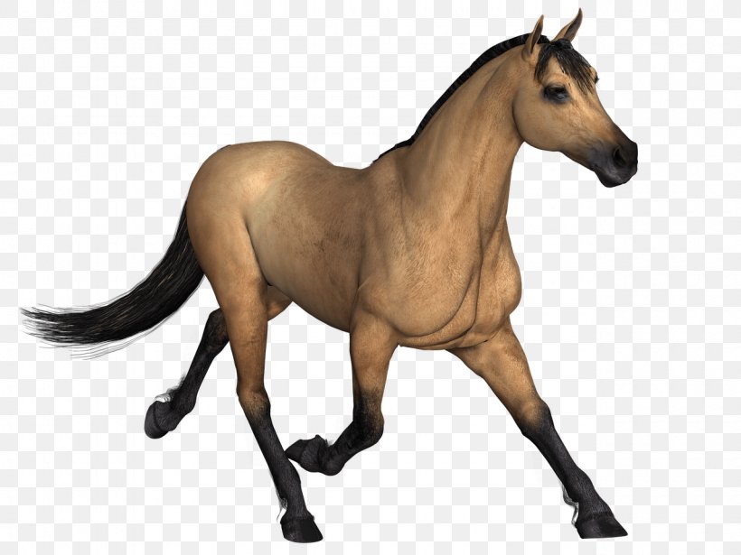 Horse Clip Art Image Stallion, PNG, 1280x960px, Horse, Animal, Animal Figure, Animation, Colt Download Free