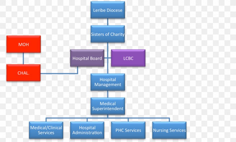 Organizational Structure Hospital Board Of Directors Health Administration, PNG, 900x543px, Organization, Area, Board Of Directors, Brand, Corporate Governance Download Free