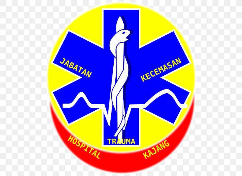 Paramedic Star Of Life Emergency Medical Technician Emergency Medical Services, PNG, 522x598px, Paramedic, Area, Blue, Brand, Emergency Download Free