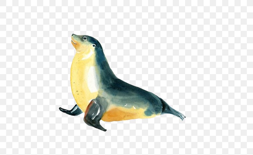 Sea Lion Earless Seal Creative Watercolor Watercolor Painting, PNG, 502x502px, Sea Lion, Animal Painter, Art, Artist, Beak Download Free