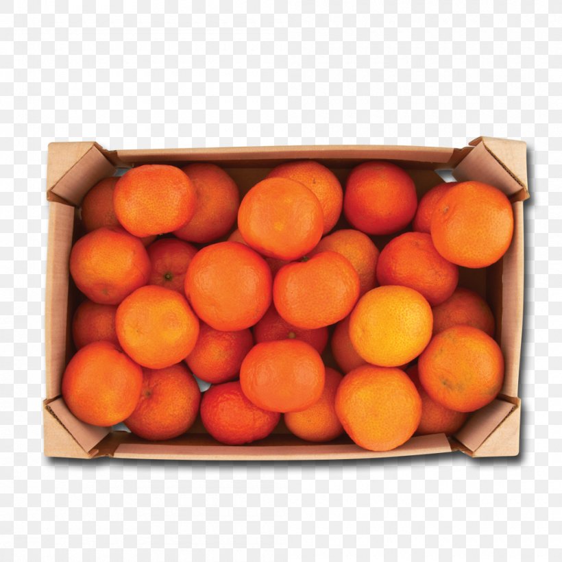 Tangerine Vegetarian Cuisine Mandarin Orange Food Clementine, PNG, 1000x1000px, Tangerine, Apricot, Blood Orange, Citrus, Clementine Download Free