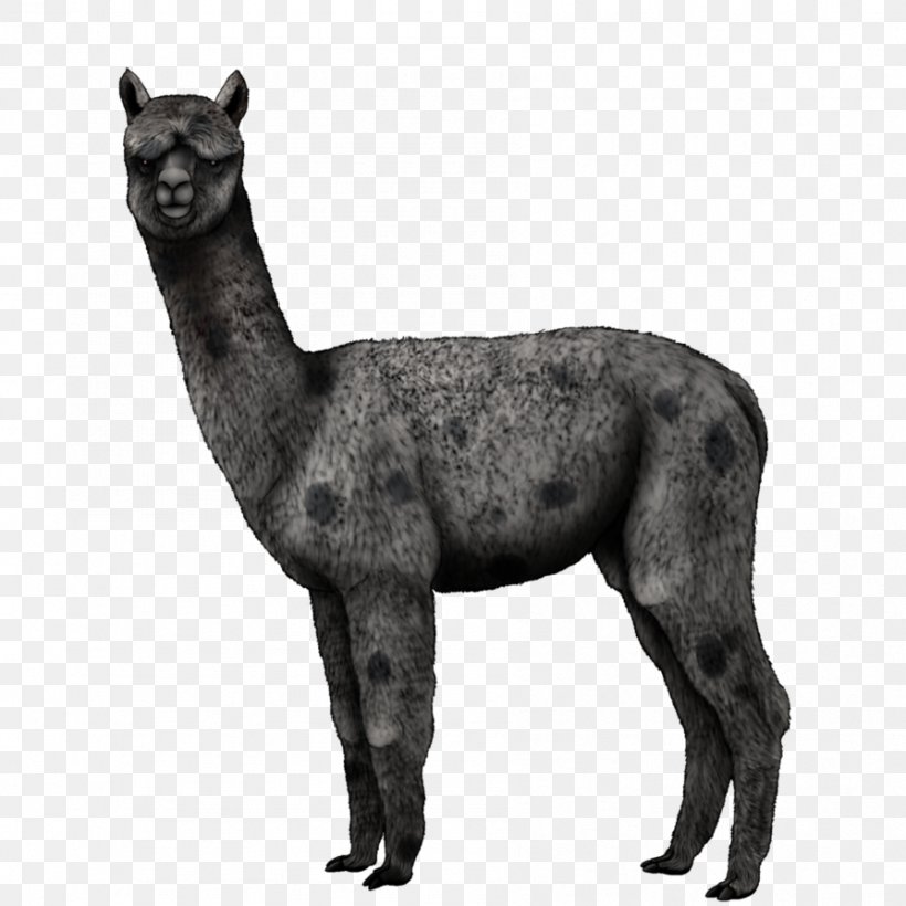 Alpaca Llama Horse Mammal Dog, PNG, 894x894px, Alpaca, Art, Black And White, Camel, Camel Like Mammal Download Free
