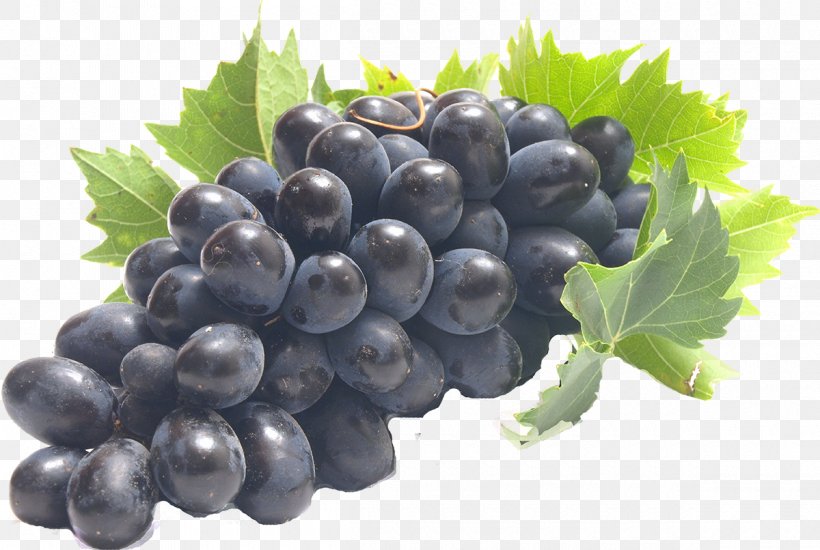 Common Grape Vine Wine Juice Fruit, PNG, 1200x806px, Common Grape Vine, Amazon Grape, Berry, Bilberry, Blackberry Download Free