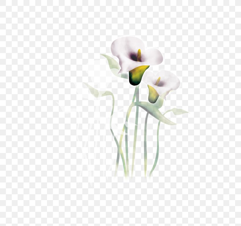Floral Design Cut Flowers Arum-lily Watercolor Painting, PNG, 650x768px, Floral Design, Arum, Arum Lilies, Arumlily, Beach Rose Download Free