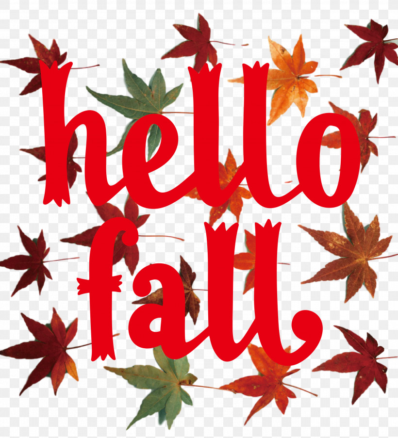 Hello Fall Fall Autumn, PNG, 2723x3000px, Hello Fall, Autumn, Fall, Leaf, Maple Leaf Download Free