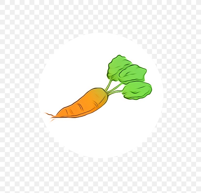 Leaf Petal Fruit Clip Art, PNG, 787x787px, Leaf, Carrot, Food, Fruit, Orange Download Free