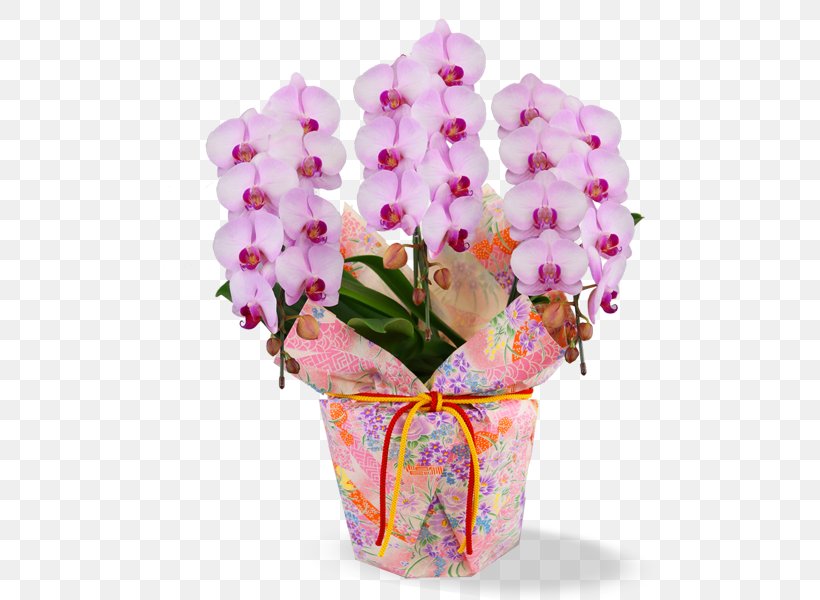 Phalaenopsis Aphrodite Cut Flowers Floral Design Flower Bouquet, PNG, 600x600px, Phalaenopsis Aphrodite, Artificial Flower, Blomsterbutikk, Cut Flowers, Floral Design Download Free