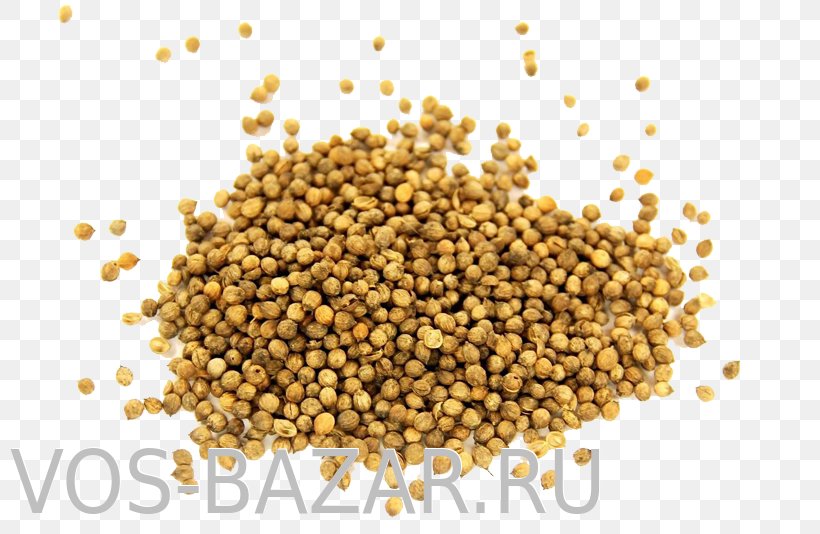 Seasoning Uzbek Cuisine Coriander Spice Condiment, PNG, 800x534px, Seasoning, Ajika, Bean, Black Pepper, Cereal Download Free