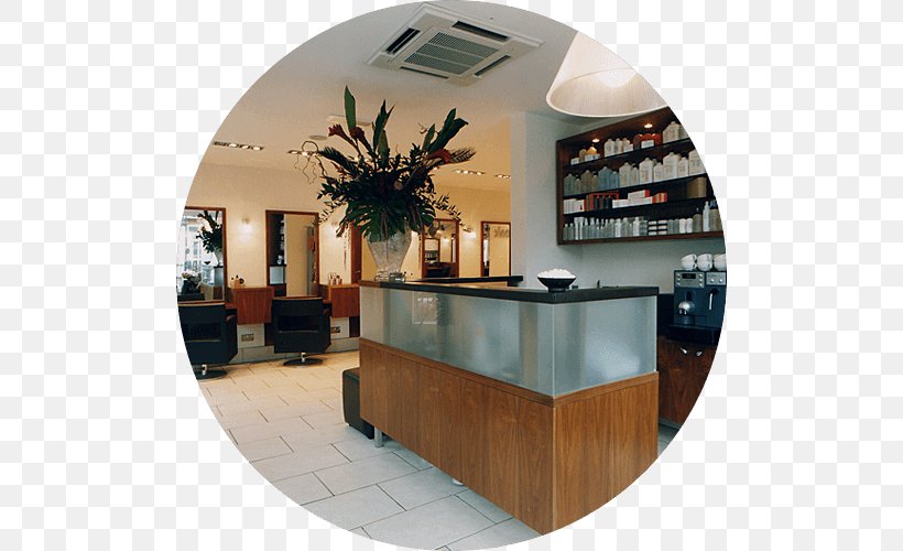 Tonic Therapies Beauty Parlour Hairdresser Earlsdon, PNG, 500x500px, Tonic Therapies, Beauty, Beauty Parlour, Coventry, Creativity Download Free
