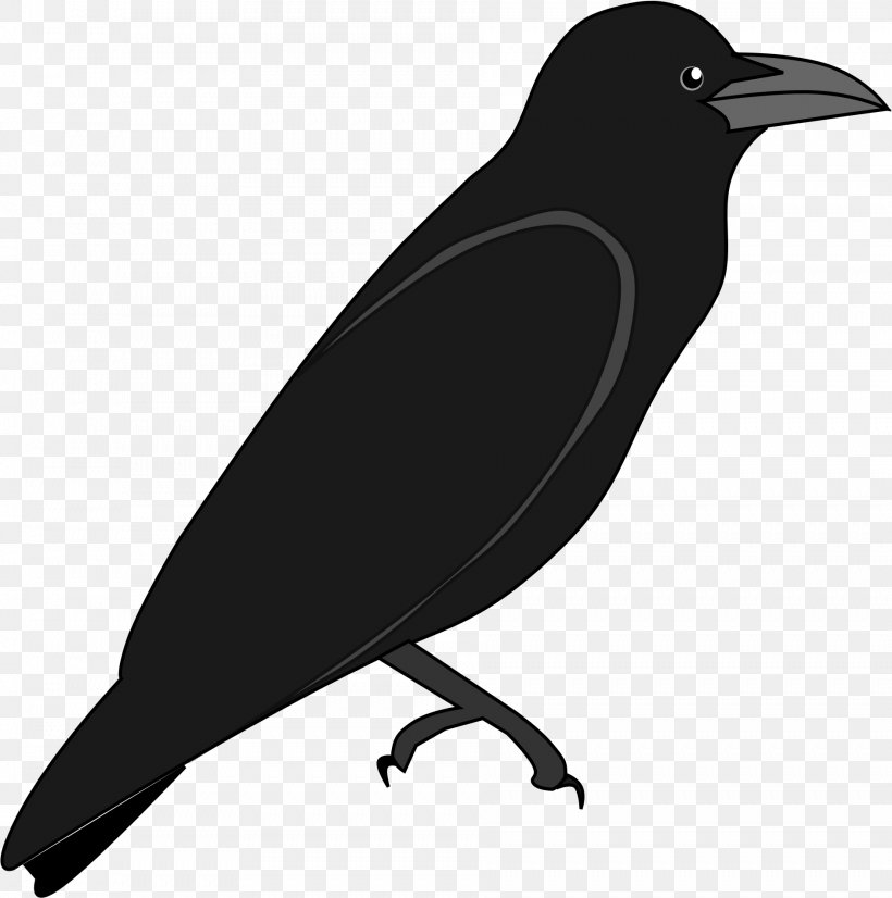 Cartoon Bird, PNG, 1886x1901px, American Crow, Beak, Bird, Blackbird, Cape Crow Download Free