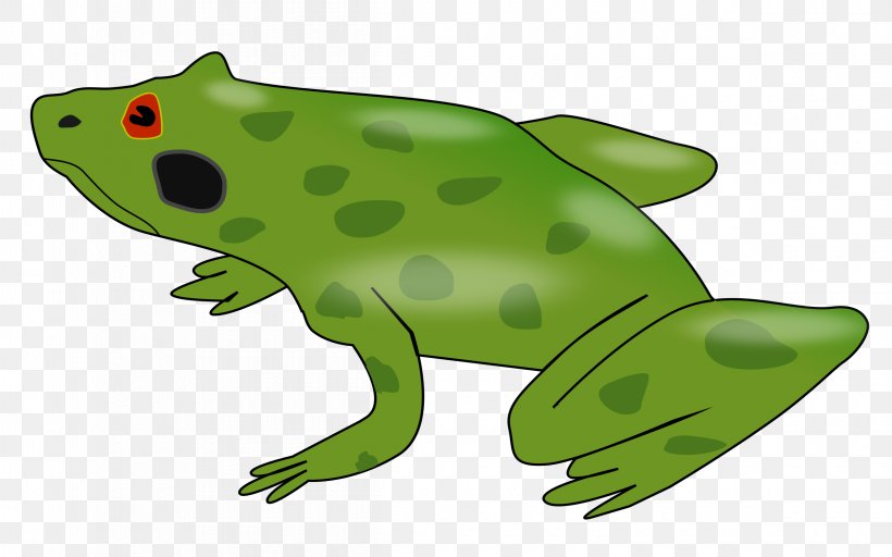 Edible Frog Amphibian Clip Art, PNG, 2400x1500px, Frog, American Bullfrog, Amphibian, Animal, Animal Figure Download Free