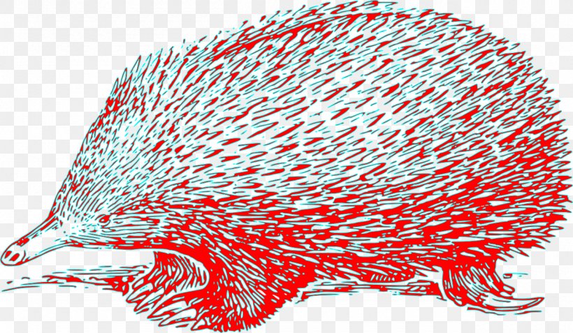 European Hedgehog T-shirt Clip Art Anteater, PNG, 1280x746px, Hedgehog, Anteater, Beak, Crested Porcupine, Echidna Download Free