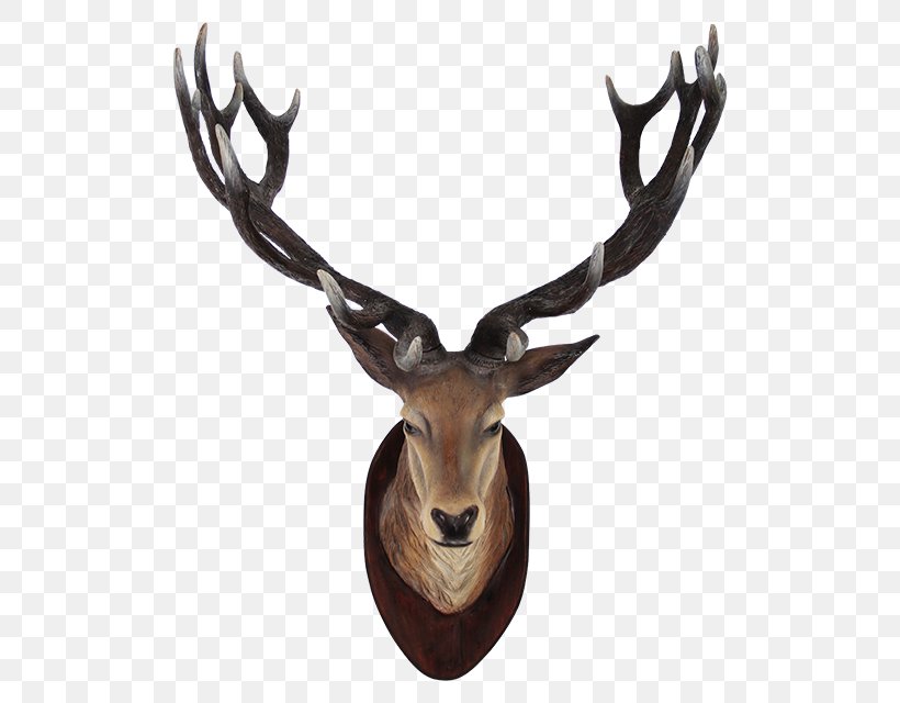 Sika Deer, PNG, 640x640px, Deer, Android, Antelope, Antler, Horn Download Free