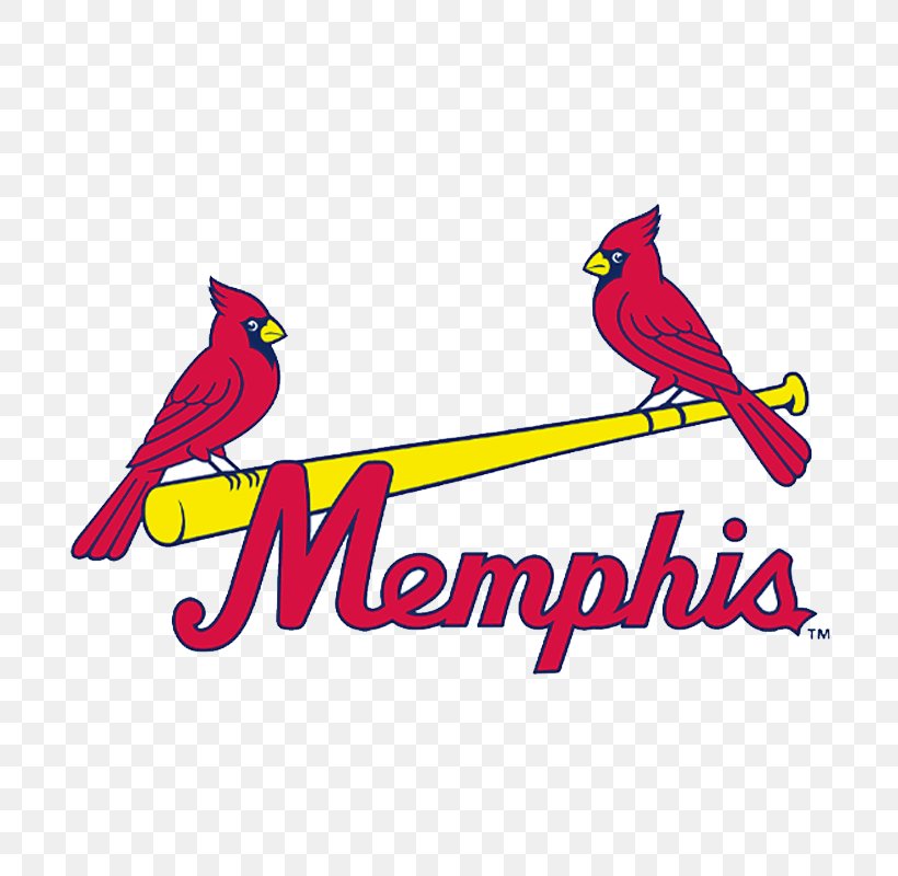 1998 St. Louis Cardinals Season Memphis Redbirds Busch Stadium 2011 Major League Baseball Season, PNG, 800x800px, St Louis Cardinals, Art, Baseball, Beak, Bird Download Free