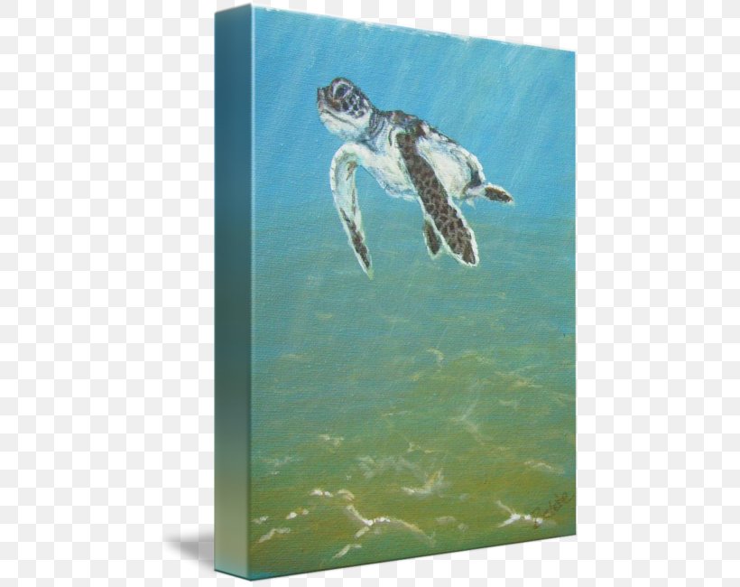 Loggerhead Sea Turtle Imagekind Art, PNG, 468x650px, Loggerhead Sea Turtle, Art, Canvas, Com, Ecosystem Download Free