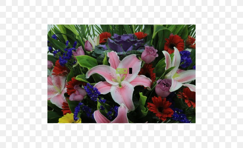 Floral Design Cut Flowers Flower Bouquet Plant, PNG, 500x500px, Floral Design, Annual Plant, Cut Flowers, Flora, Floristry Download Free