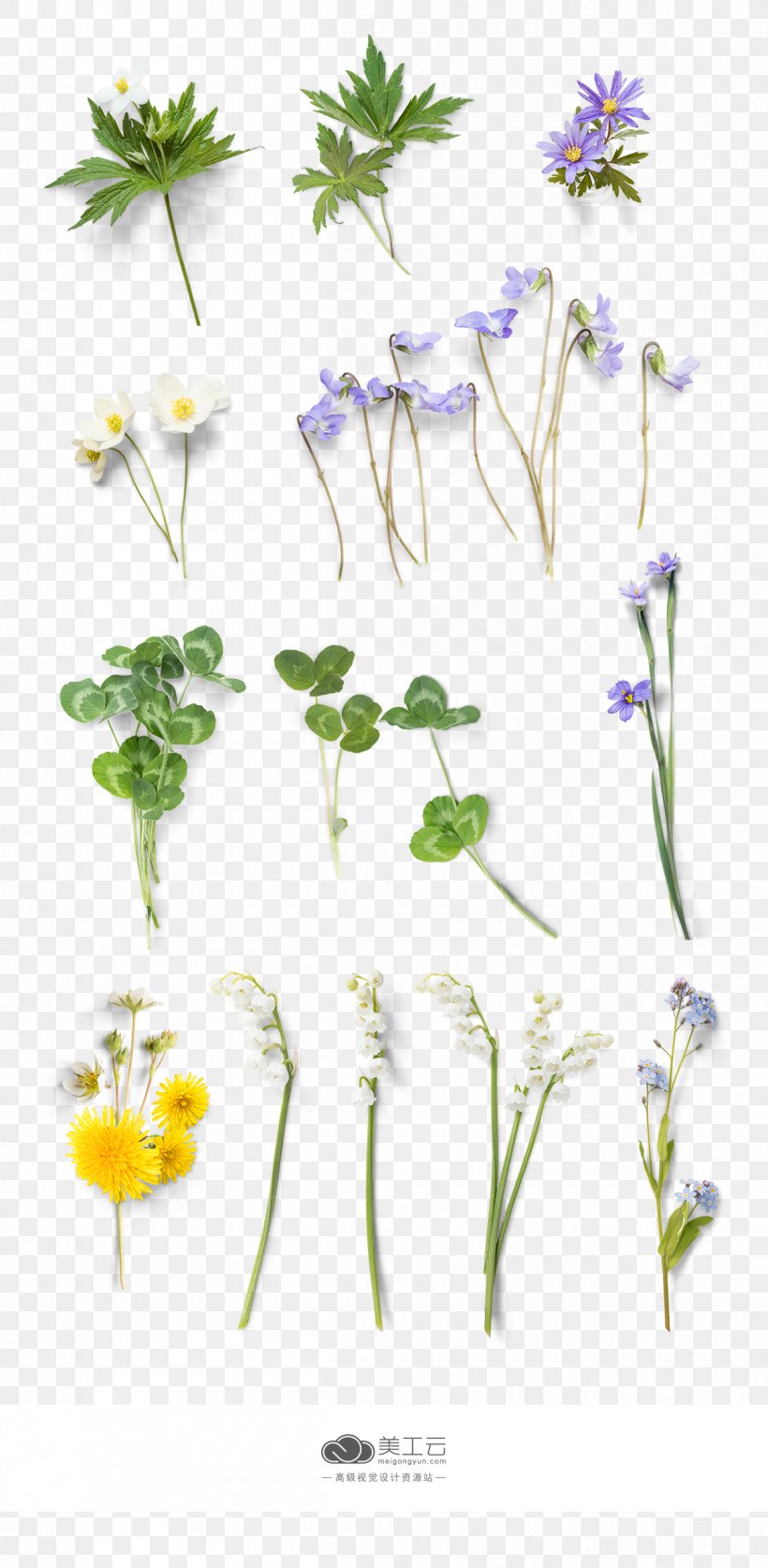 Flower Euclidean Vector, PNG, 1200x2450px, Flower, Branch, Element, Flora, Floral Design Download Free