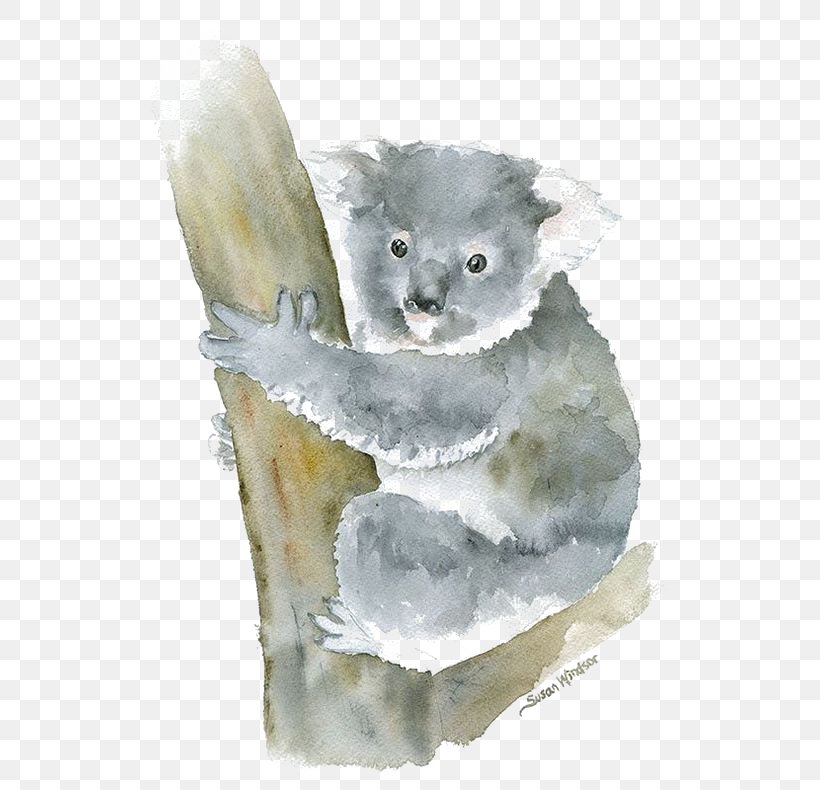 Koala Watercolor Painting Art, PNG, 564x790px, Koala, Art, Cat, Cat Like Mammal, Drawing Download Free