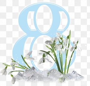 March 8 Image Clip Art Text PNG